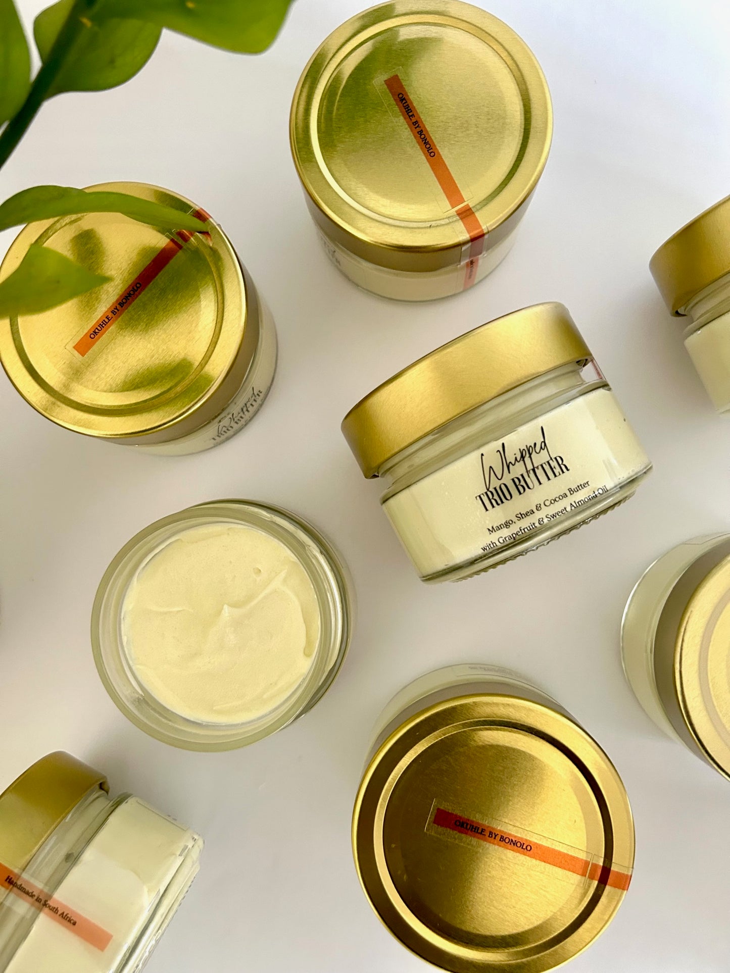 Whipped Body Butter - Grapefruit